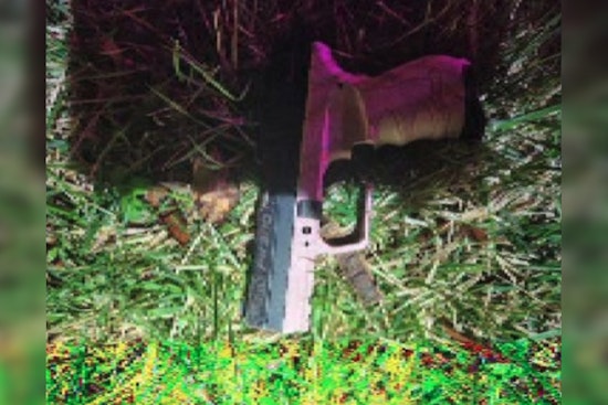 DC Man, 22, Gets 13 Years After 85-Minute Robbery Rampage in Ward 8