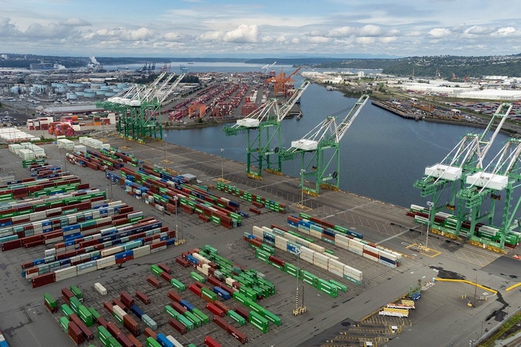 Decaying Whale Rides Cargo Ship's Bow Into Port of Tacoma, Necropsy Set