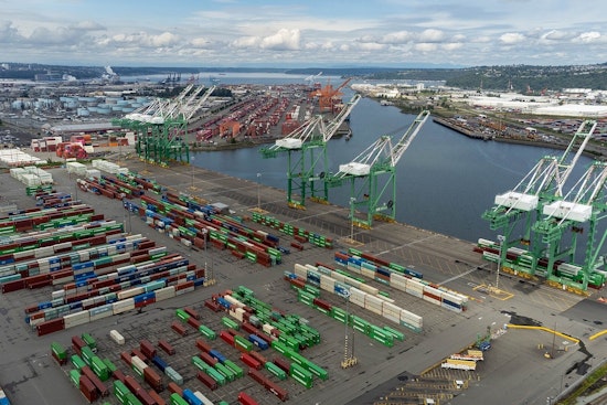 Decaying Whale Rides Cargo Ship's Bow Into Port of Tacoma, Necropsy Set