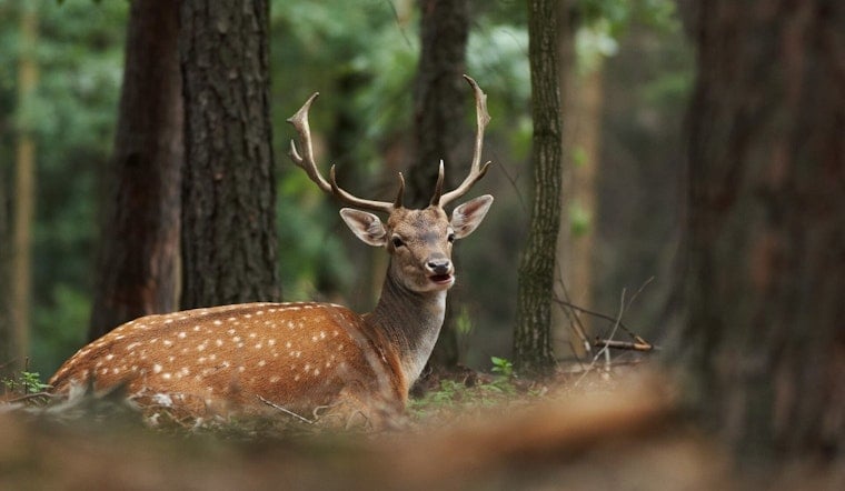 Deer Nerds Unite At Oklahoma City Conference Packing 35 Hunter How-To Sessions