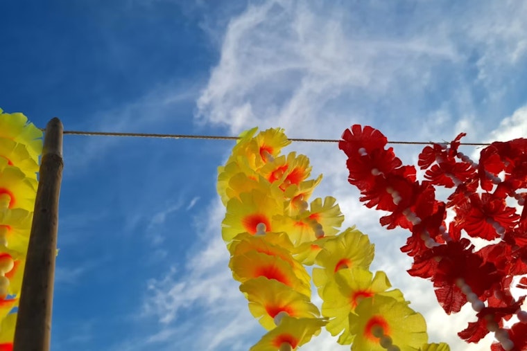 Del Mar Rotary Plans Hawaiian Luau, Aims to Raise $100,000 for Veterans and Kids