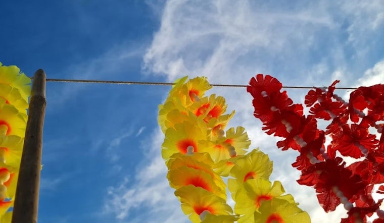 Del Mar Rotary Plans Hawaiian Luau, Aims to Raise $100,000 for Veterans and Kids