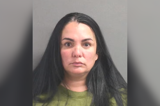 Deltona Mother's Trial Opens in Deputy Attack Caught on Bodycam