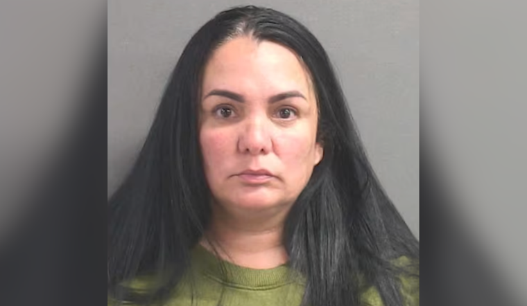Deltona Mother's Trial Opens in Deputy Attack Caught on Bodycam