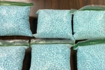Denver Police Seize 30,000 Fentanyl Pills as Overdose Deaths Keep Climbing
