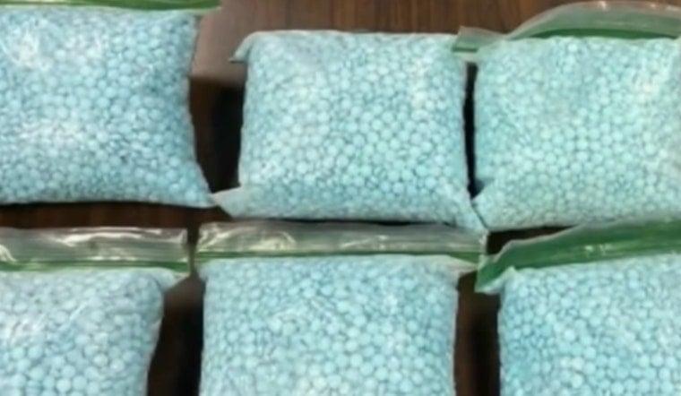 Denver Police Seize 30,000 Fentanyl Pills as Overdose Deaths Keep Climbing