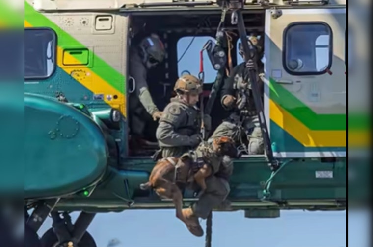 Deputies Rappel From Helicopter At Torrance K-9 Show, Marking 25 Years
