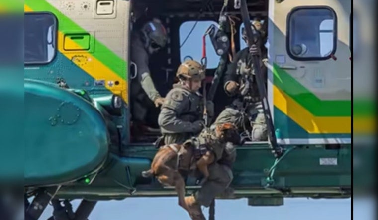 Deputies Rappel From Helicopter At Torrance K-9 Show, Marking 25 Years
