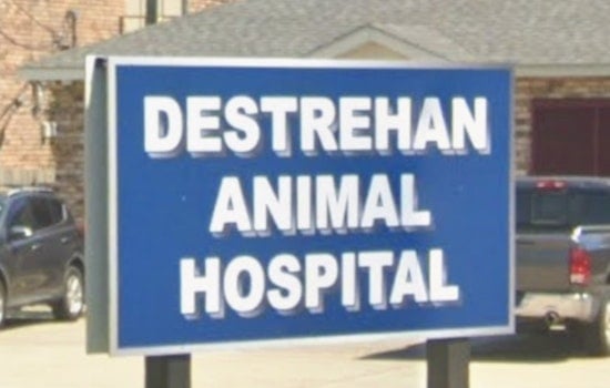 Destrehan Chiropractor Swaps Old Vet Clinic for Medical-Spa Menu on River Road