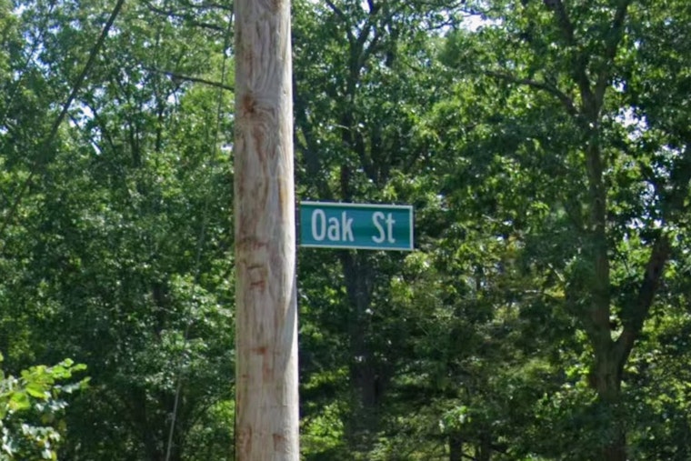 Dighton Dog Mauling Leaves 86-Year-Old Woman Critically Injured
