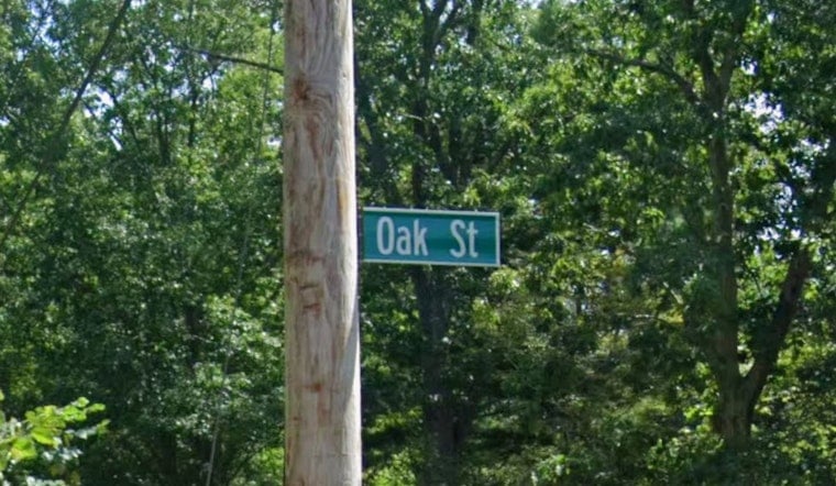 Dighton Dog Mauling Leaves 86-Year-Old Woman Critically Injured