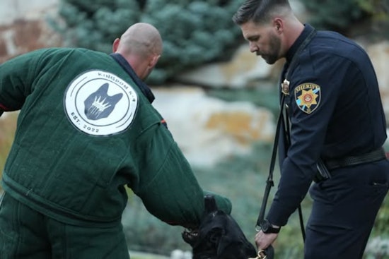 Douglas County K-9s Sig and Dozer Retire as Gala Nears Sellout