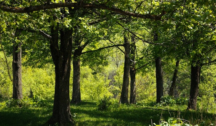 Dover-Westwood Woodland Locks In Permanent Protection, Bigger Than Central Park