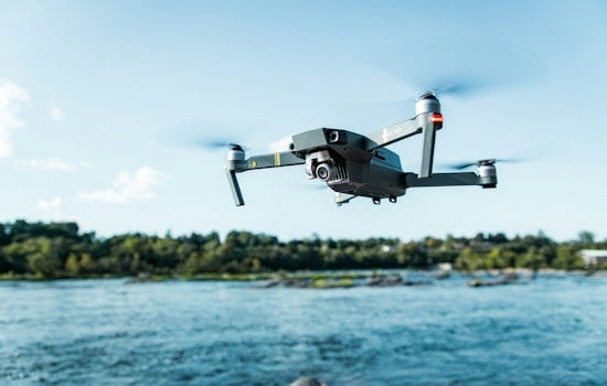 Drone Catches Great White Circling Swimmer Off Topanga Beach, Shark Swims Off