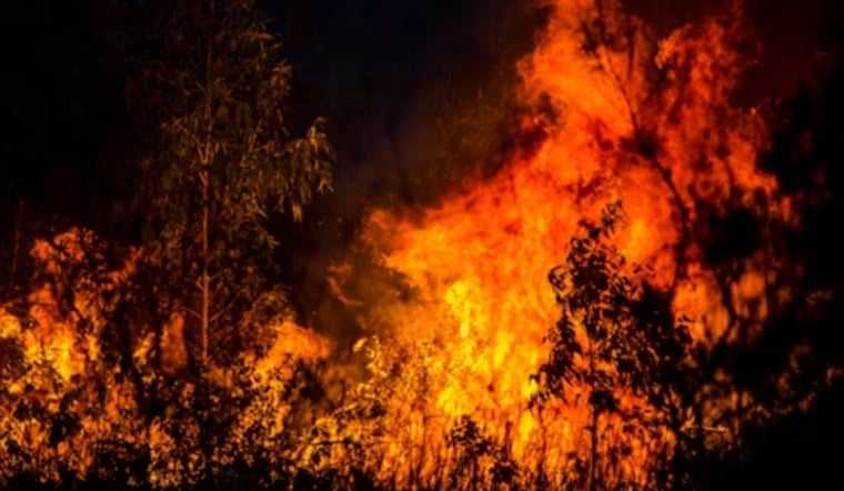Eagle Fire Forces Topaz Lake Closure as Crews Battle Ridge Blaze by Air