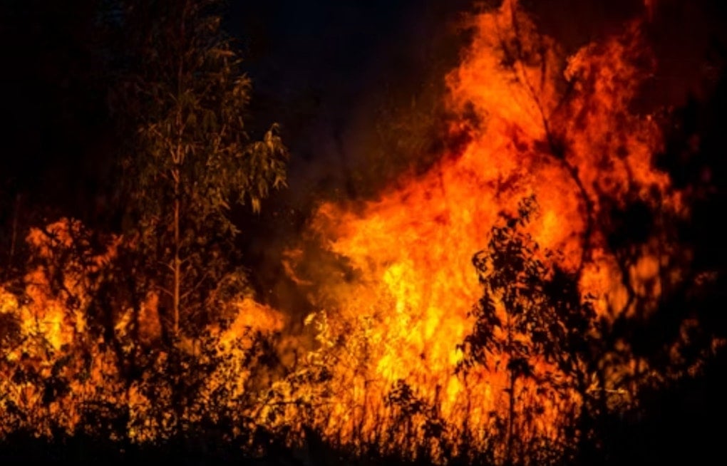 Eagle Fire Forces Topaz Lake Closure as Crews Battle Ridge Blaze by Air