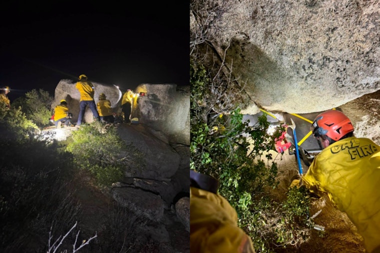 East County Firefighters Free Newborn Puppies Trapped Beneath Boulder