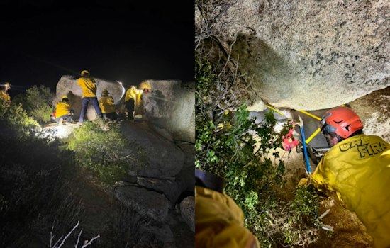 East County Firefighters Free Newborn Puppies Trapped Beneath Boulder