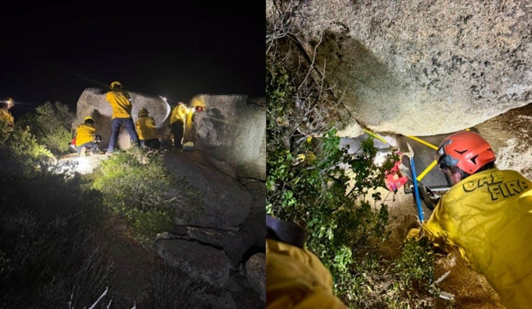 East County Firefighters Free Newborn Puppies Trapped Beneath Boulder