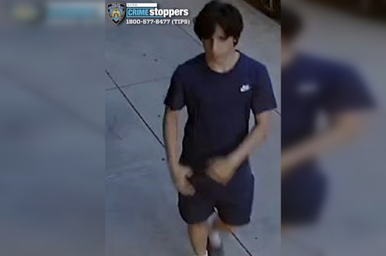 East Village Burglar Trailed Delivery Worker Into Building, Slipped In Terrace Door
