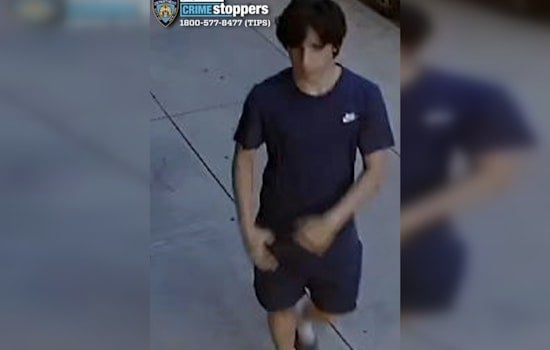 East Village Burglar Trailed Delivery Worker Into Building, Slipped In Terrace Door