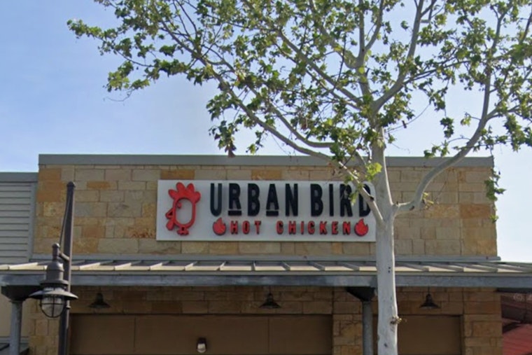 El Paso Could Land Urban Bird Hot Chicken, Texas Chain's Nearest Store Is 9 Hours Away