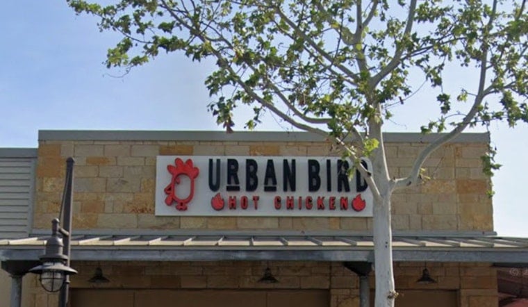 El Paso Could Land Urban Bird Hot Chicken, Texas Chain's Nearest Store Is 9 Hours Away