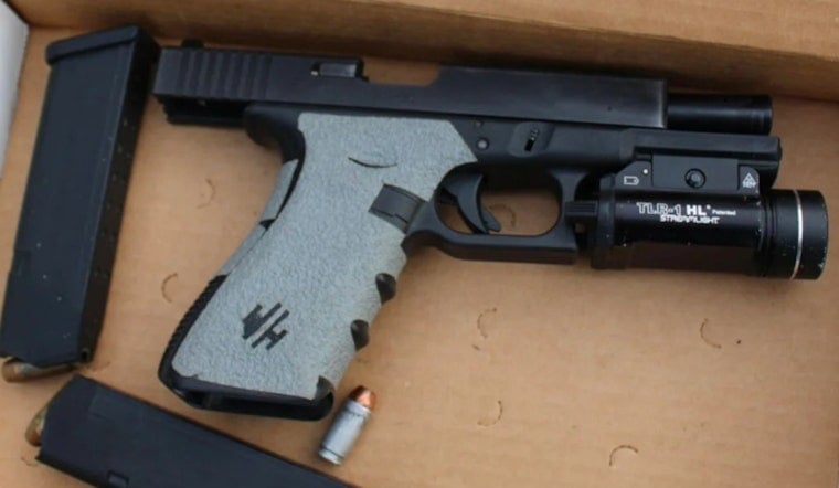 Elgin Home Invasion Suspect Shoots Himself In Leg Fleeing K9 And Drone Manhunt