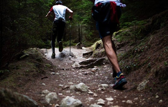 Elite Skyrunners Scale Mount Ellinor as World Series Debuts in Washington