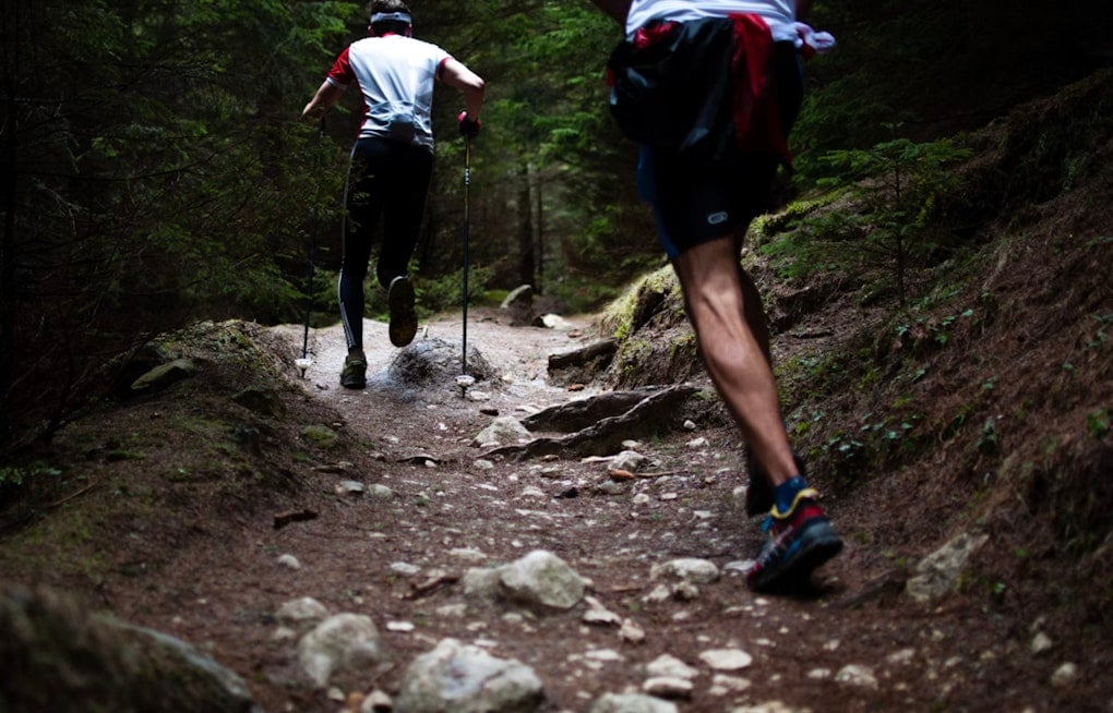 Elite Skyrunners Scale Mount Ellinor as World Series Debuts in Washington