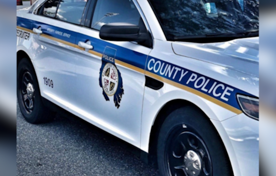 Essex Shooting Kills One, Leaves Police Hunting Three Suspects on Banyan Wood Court