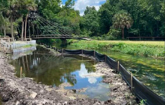 Ex-Bondsman Facing Prison for Coercing Jailed Women Also Gutted Wekiva Shoreline