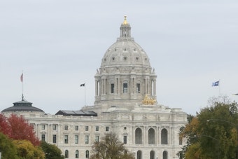 Ex-Immigration Chief Swanson Challenges Stauber Across Minnesota's Sprawling 8th District