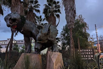 Exposition Park Museum Turns Fossils Into Glowing Art for Winter Nights