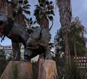 Exposition Park Museum Turns Fossils Into Glowing Art for Winter Nights
