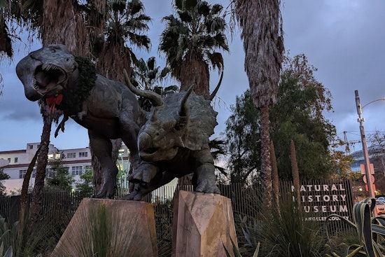 Exposition Park Museum Turns Fossils Into Glowing Art for Winter Nights