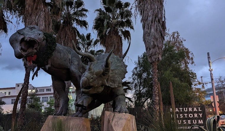 Exposition Park Museum Turns Fossils Into Glowing Art for Winter Nights