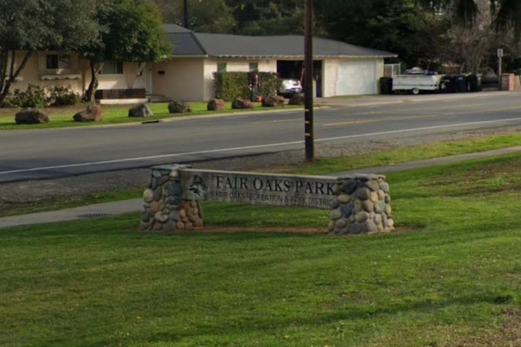 Fair Oaks Chicken Festival Turns 21 With New Disc Golf and Egg Drop Contests