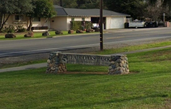 Fair Oaks Chicken Festival Turns 21 With New Disc Golf and Egg Drop Contests