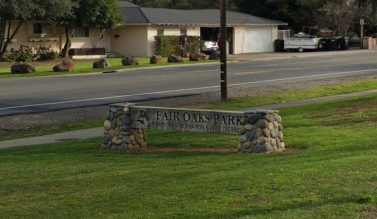 Fair Oaks Chicken Festival Turns 21 With New Disc Golf and Egg Drop Contests