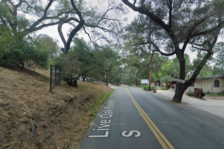 Fallbrook Driver Trapped After Live Oak Park Road Crash Snaps Tree