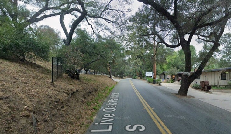 Fallbrook Driver Trapped After Live Oak Park Road Crash Snaps Tree