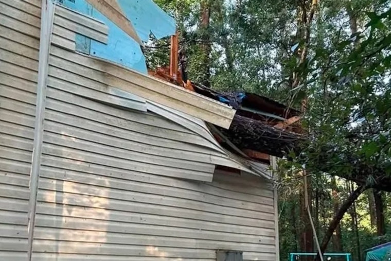 Falling Pine Crushes Disabled Girl's Room in Monroe, Safety Bed Saves Her