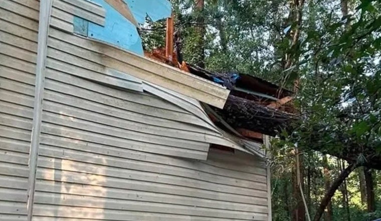 Falling Pine Crushes Disabled Girl's Room in Monroe, Safety Bed Saves Her