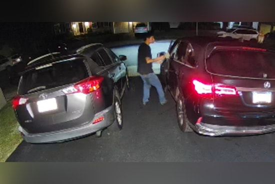 Falls Township Police Hunt Smoking Man Caught Raiding SUV in Fallsington Woods