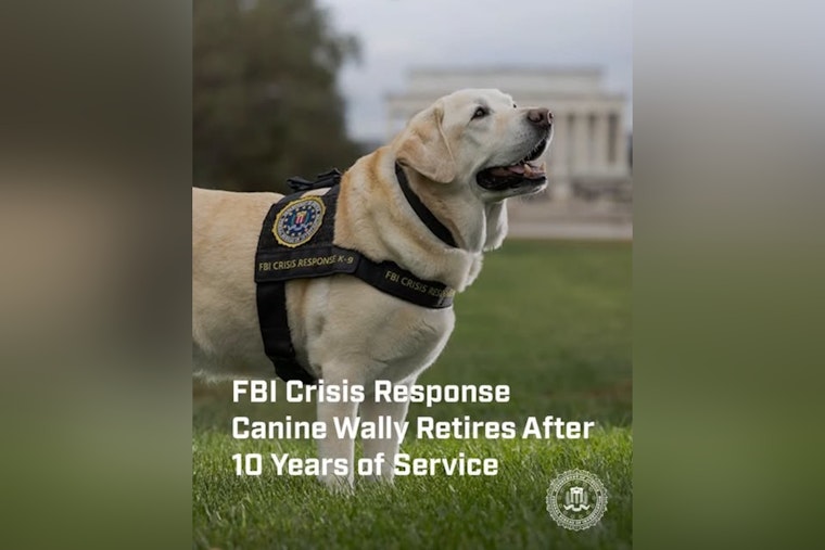 FBI's First Crisis Dog Wally Retires After Comforting 4,100 Victims in a Decade