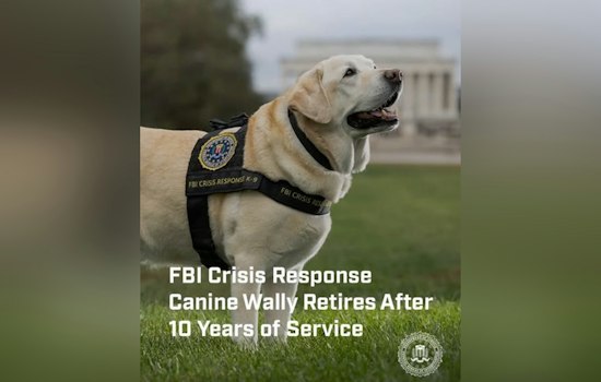FBI's First Crisis Dog Wally Retires After Comforting 4,100 Victims in a Decade