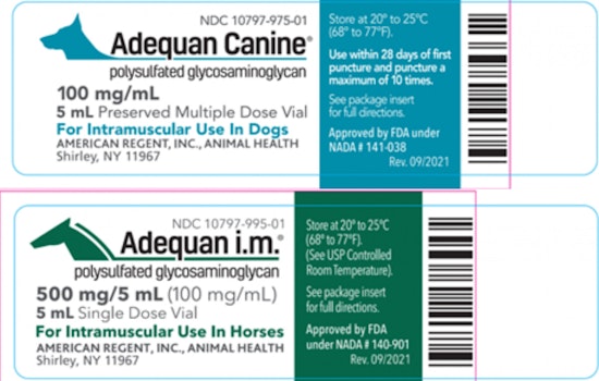 FDA Yanks Dog, Horse Arthritis Shots Nationwide After Glass Fibers Found