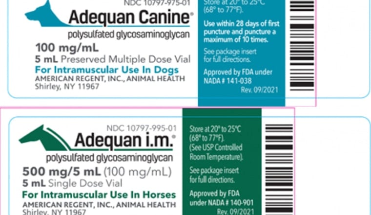 FDA Yanks Dog, Horse Arthritis Shots Nationwide After Glass Fibers Found