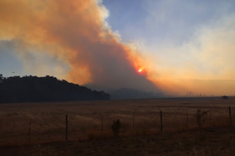 Feliz Fire Explodes to 500 Acres Near Hopland, Triggers Emergency Evacuations